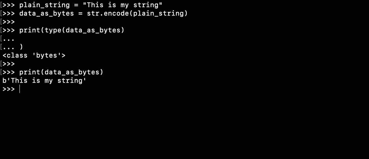 Python 3 String as Bytes Example